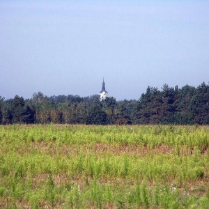 pokaż obrazek - Widok na Bazylikę od strony Stradecza (Białoruś)