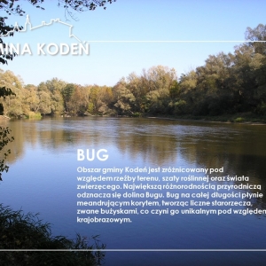 pokaż obrazek - Rzeka Bug